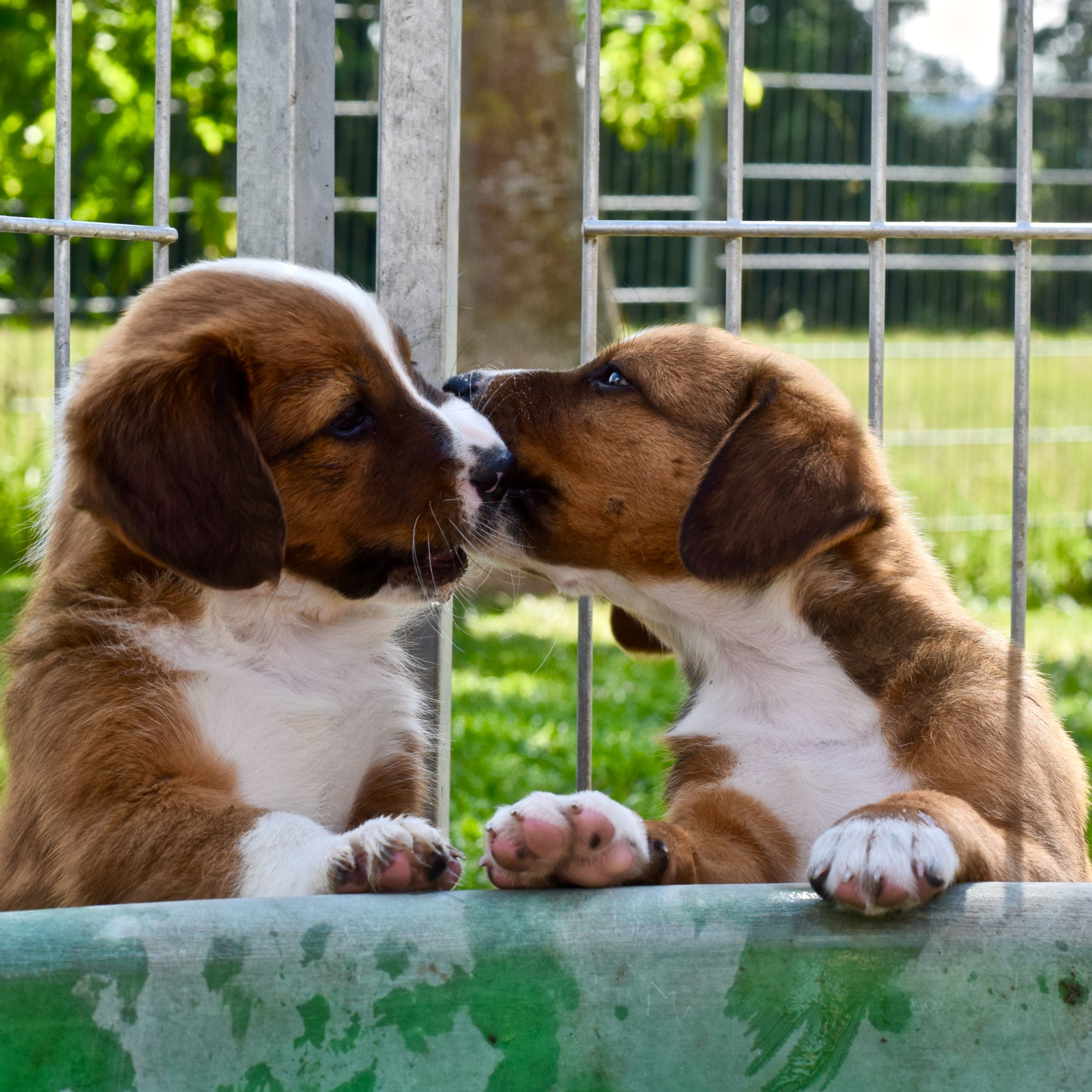 Test